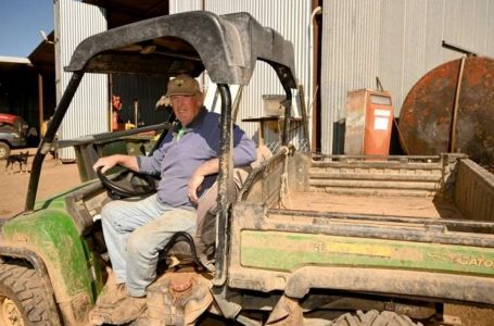 Lluvia de optimismo para ganaderos australianos, agotados por la sequía