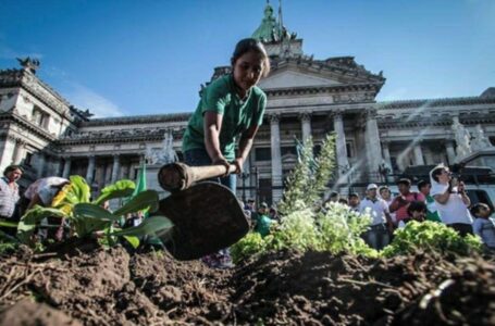 En un “‘Alimentazo” frente al Congreso, la UTT donará 10 mil kilos de verduras