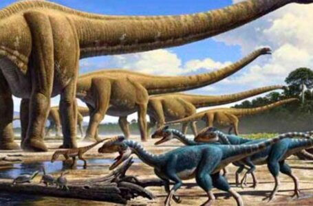 Descubren restos fósiles de un dinosaurio hervíboro de entre 96 y 99 millones de años