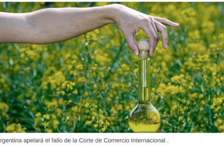 Argentina apelará el fallo de la Corte de Comercio Internacional respecto del biodiésel