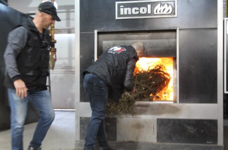 Provincia quemó más de 40 kilos de marihuana y cocaína en la ciudad de Santa Fe