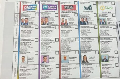 La Cámara de Diputados aprobó la Boleta Única de Papel: será utilizada en las próximas elecciones