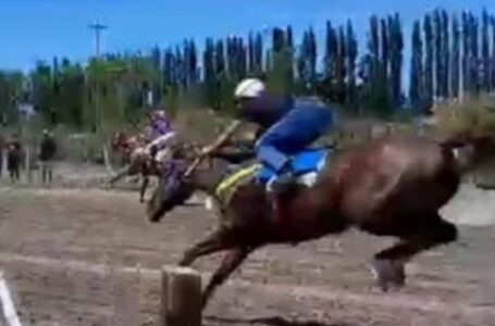 Conmoción en el deporte: murió un jockey de 34 años después de que su caballo se le cayera encima