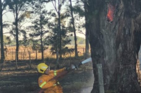 Fuerte incendio de pastizales en la zona rural de Funes