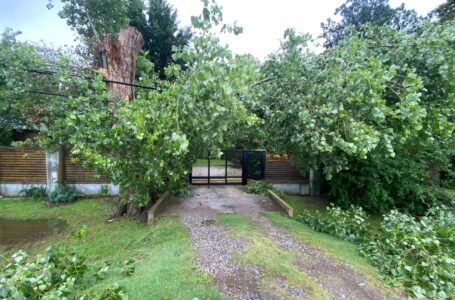 Anoche el Alerta Amarilla por tormenta dejó si servicio eléctrico desde la 01 hasta las 08 horas a casi todo Funes