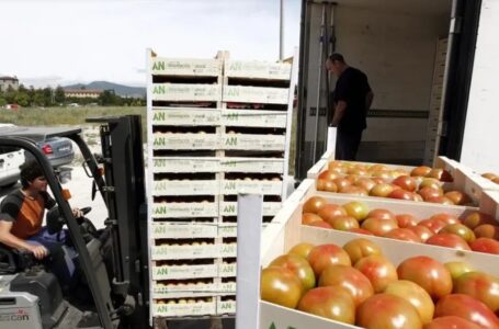 El Gobierno explicó por qué desreguló la importación y exportación de alimentos