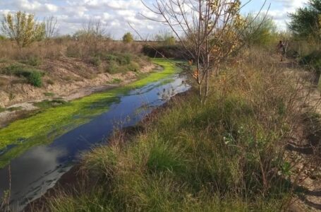 Cine debate en el Espacio de Memoria La Quinta de Funes: “Áreas de valor ecológico y cultural de la cuenca del Arroyo Ludueña”