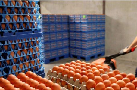 Argentina batió récords en producción y consumo de huevos durante 2024