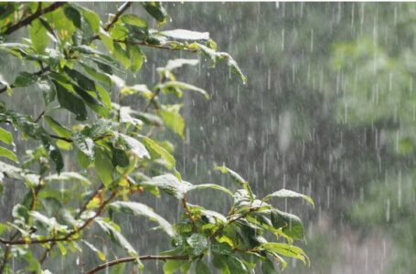 Llegó el respiro, con la lluvia bajó la temperatura.