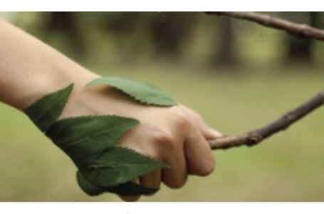 Jornada Ambiental: “Conociendo el Jardín de la Provincia”