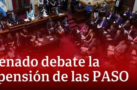 El Senado aprobó la suspensión de las PASO