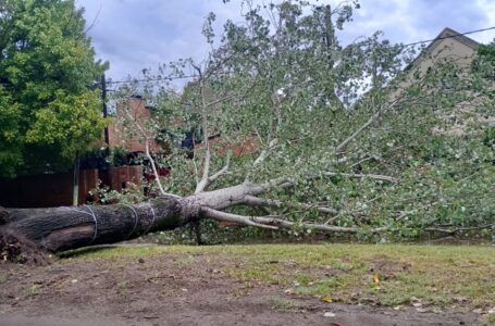 Provincia atiende la situación generada por la tormenta que afectó a Rosario y zonas aledañas