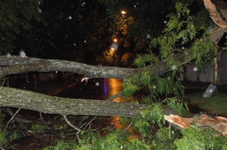 La gran tormenta de anoche causó varios inconvenientes